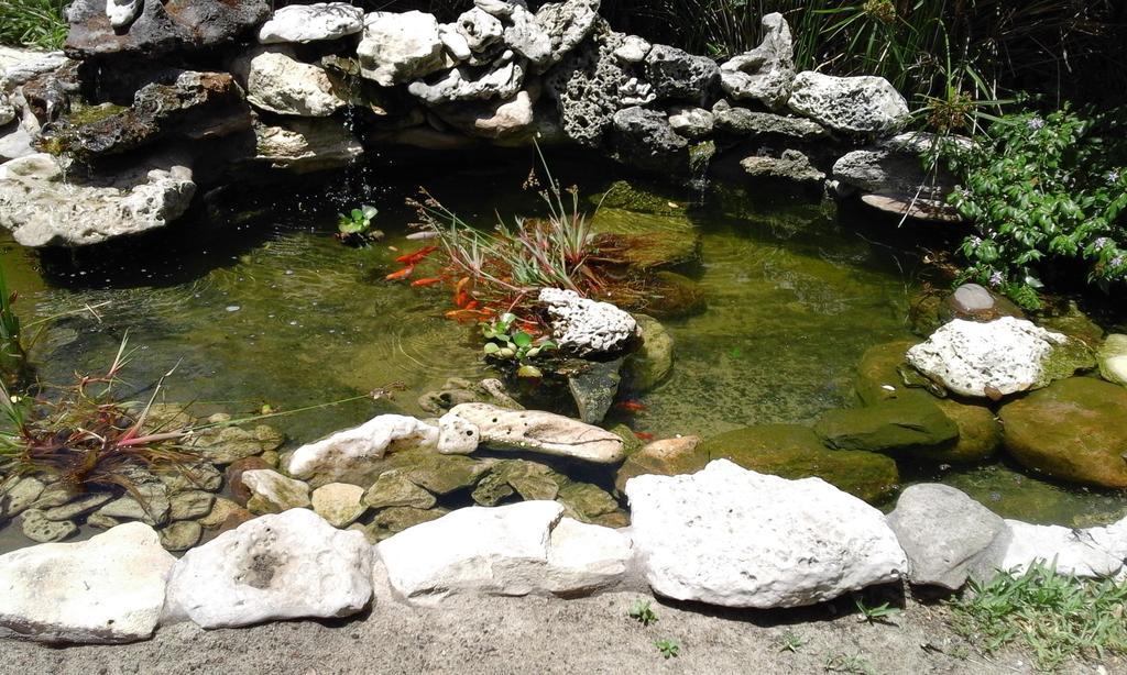 Riverlodge Backpackers Cape Town