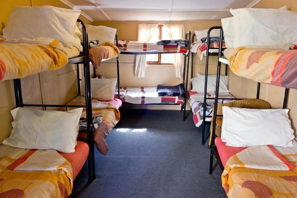 Hostel Riverlodge Backpackers